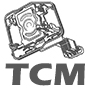 Elektronické bloky (TCM) - 0AM (DQ200)